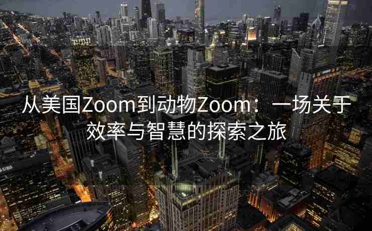从美国Zoom到动物Zoom：一场关于效率与智慧的探索之旅