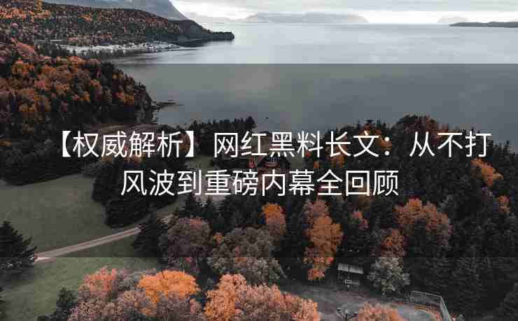 【权威解析】网红黑料长文：从不打风波到重磅内幕全回顾
